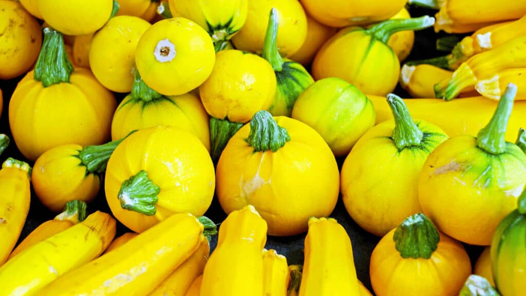 companion planting squash