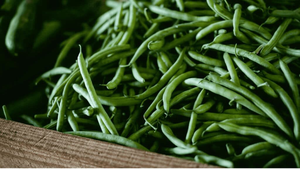 companion plants for beans