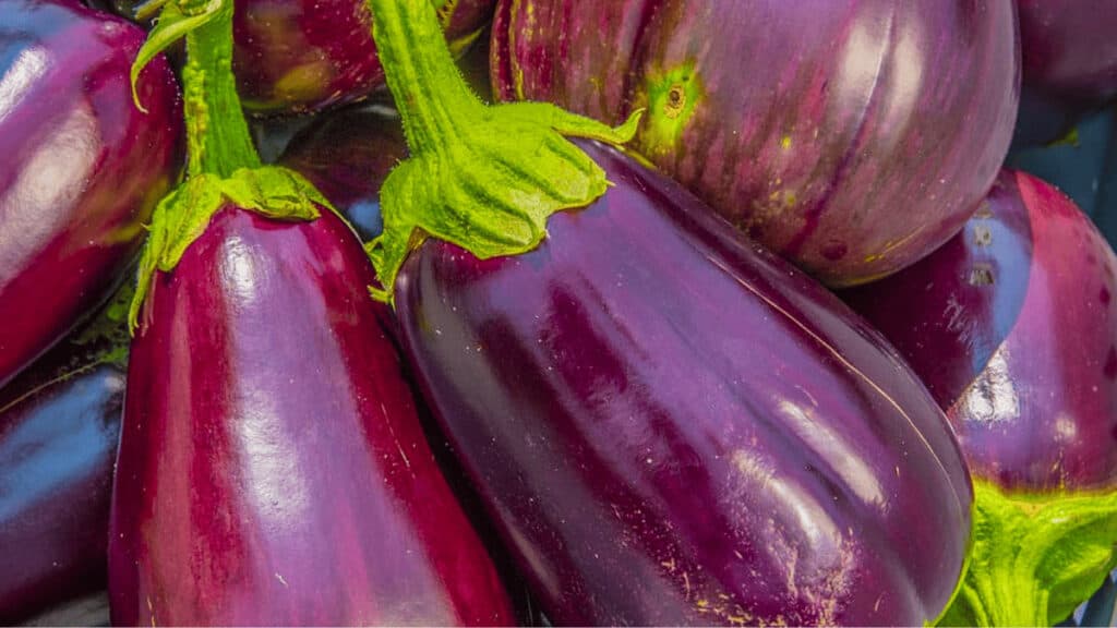 eggplant companion planting