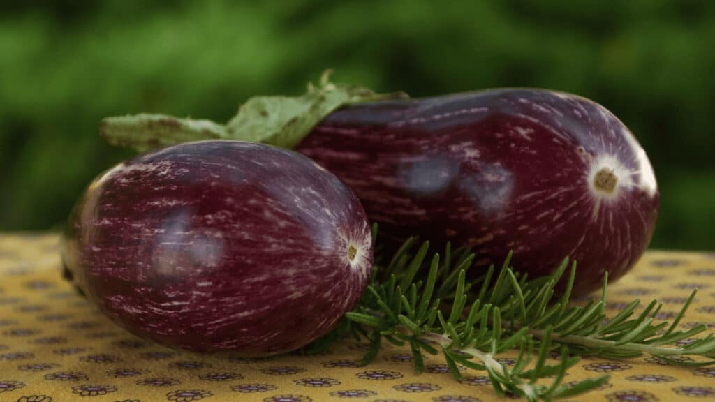 eggplant companion plants