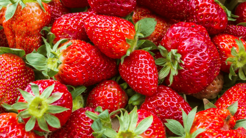 companion planting with strawberries