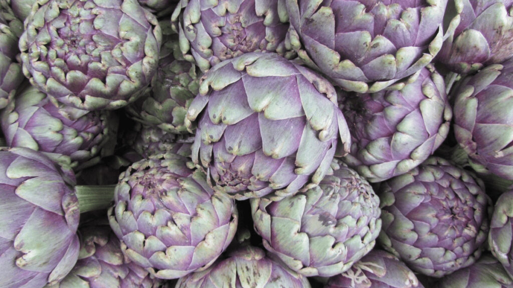 artichoke companion plants