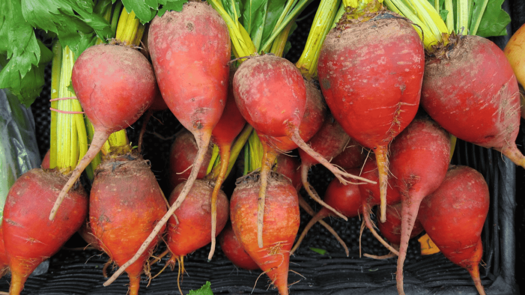 companion plants for beets