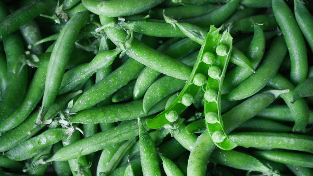 companion planting peas