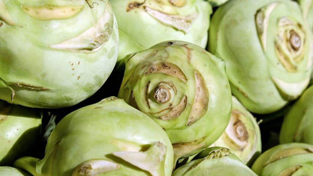kohlrabi companion plants - close up of harvested kohlrabi vegetables